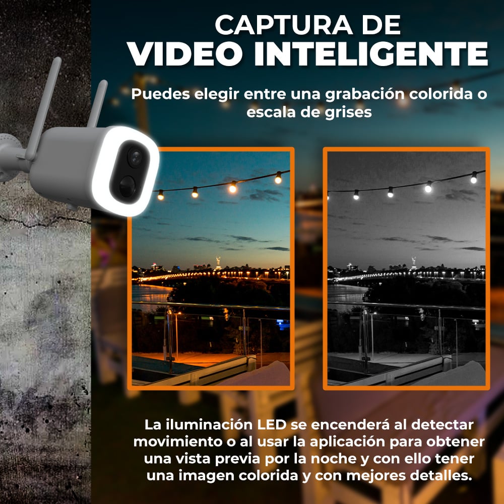 CAMEXT11TVDTCW CAMEXT11TVDTCW