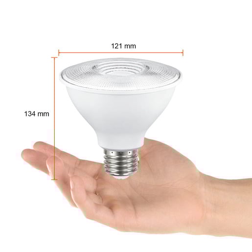 13PAR38LED30MV25 13PAR38LED30MV25