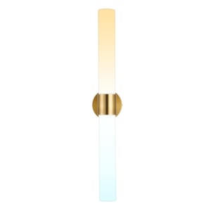 Lámpara de Pared Arbotante LED 19 W, Luz Blanca Ajustable, No atenuable Lámpara de Pared Arbotante LED 19 W, Luz Blanca Ajustable, No atenuable