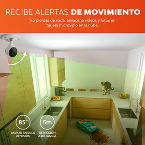 CAM201VCDBTCW CAM201VCDBTCW