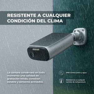 CAMEXSOL4VCDTCW CAMEXSOL4VCDTCW