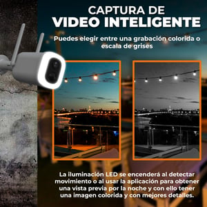 CAMEXT11TVDTCW CAMEXT11TVDTCW