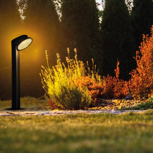 10HLED2221MV30N 10HLED2221MV30N