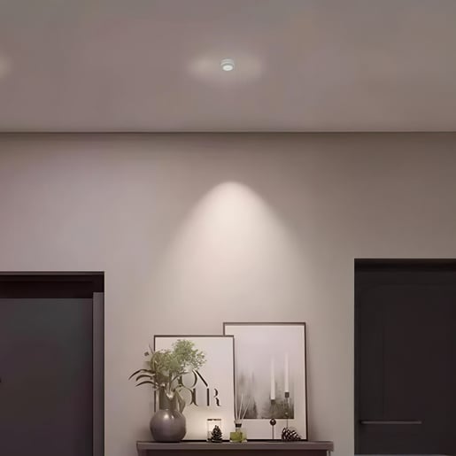 10YSNLED011V30B 10YSNLED011V30B