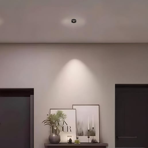 10YSNLED011V30N 10YSNLED011V30N