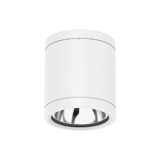 Lámpara Plafón LED Techo 15 W, Luz Blanca Configurable, IP65, IK08, Interior y Exterior, LED integrado