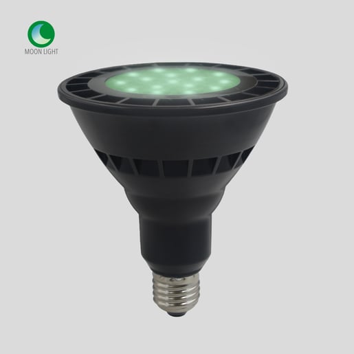 Foco PAR38 LED 16 W, Luz de Luna Color Verde, Base E27, IP65, No atenuable