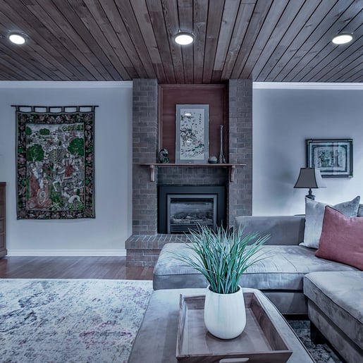 18PTLLEDR65MVN 18PTLLEDR65MVN