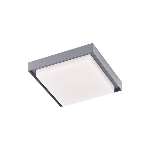 Lámpara Plafón LED Techo 24 W, Luz Cálida Brillante, IP54, IK05, Interior y Exterior, LED integrado