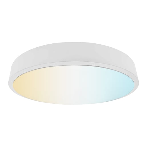 Lámpara Plafón LED Techo 24 W, Luz Blanca Ajustable, Gran Formato, No Atenuable