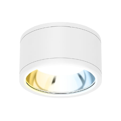 Lámpara Plafón LED Techo 35 W, Luz Blanca Configurable, IP65, IK08, Interior y Exterior, LED integrado