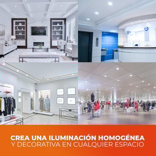 4DG80LEDFF65VC80 4DG80LEDFF65VC80