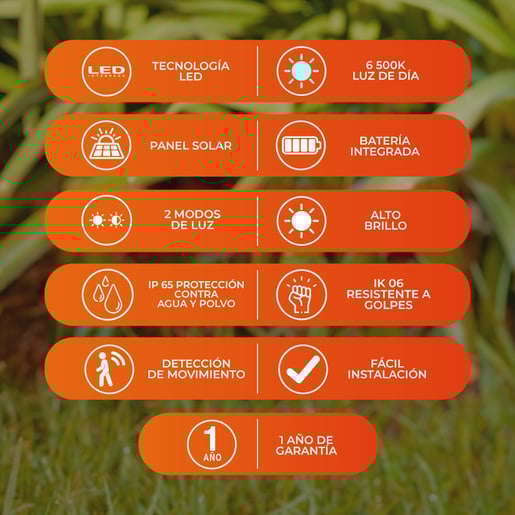 6SOLLED30VCD65B 6SOLLED30VCD65B