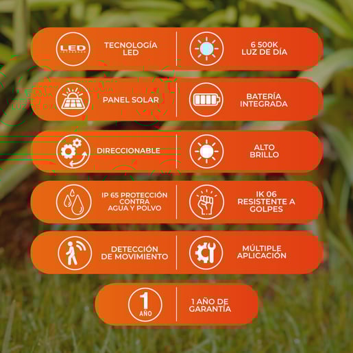 8SOLLED31VCD65N 8SOLLED31VCD65N