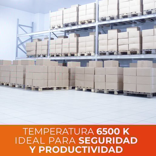 A19-LED/007/65-6P A19-LED/007/65-6P