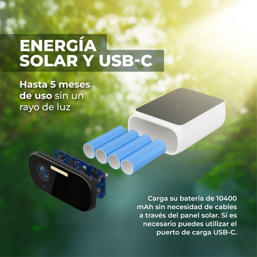 CAMEXSOL4VCDTCW CAMEXSOL4VCDTCW