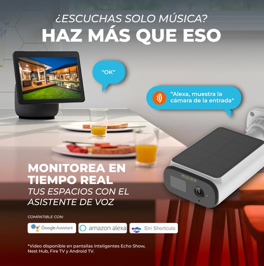 CAMEXSOL4VCDTCW CAMEXSOL4VCDTCW