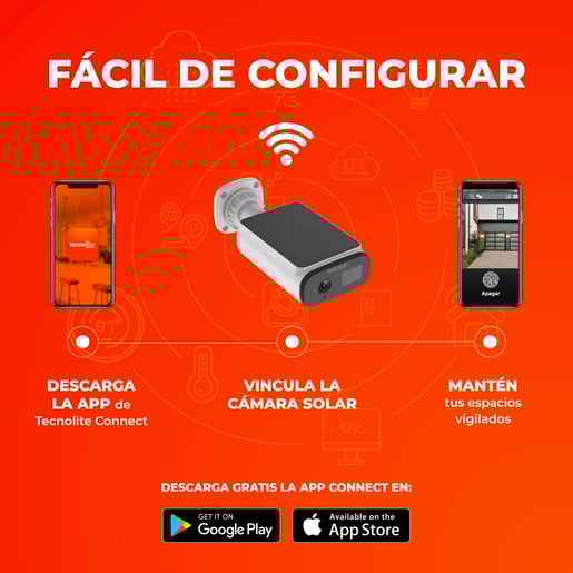 CAMEXSOL4VCDTCW CAMEXSOL4VCDTCW